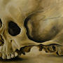 Memento Mori I . Huile sur toile . 160 x 160 cm . 2002