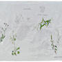 Pampa - “Malezas” - Yuyo colorado, Commelina erecta . Herbario sobre tela . Acrílico y yeso sobre tela . 180 x 90 cm . 2019
