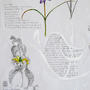 Spetses - Invierno-Primavera. Limonastrum, Phlomis fruticosa . Detalle
