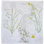 Spetses – Invierno - Primavera. Limonastrum, Phlomis fruticosa . Herbario sobre tela . Acrílico y yeso sobre tela . 68 x 67 cm . 2020