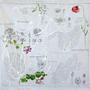 Spetses - Primavera -  Amapola, Malva . Herbario sobre tela . Acrílico y yeso sobre tela . 67 x 66 cm . 2018