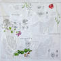 Spetses - Primavera - Amapola, Malva . Herbario sobre tela . Acrílico y yeso sobre tela . 67 x 66 cm . 2018